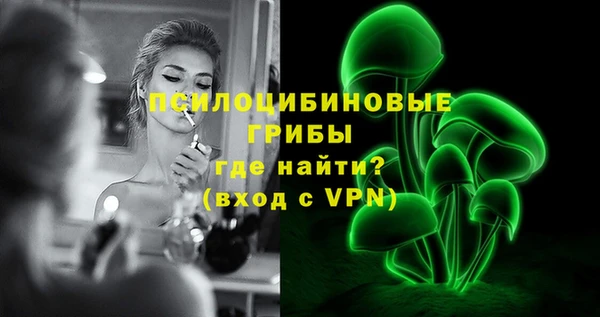 стаф Бронницы