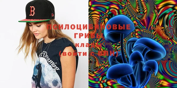 сатива Бугульма