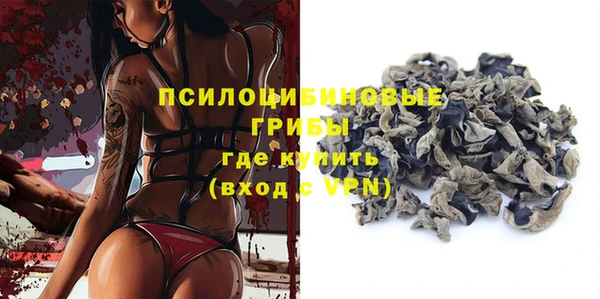 стаф Бронницы