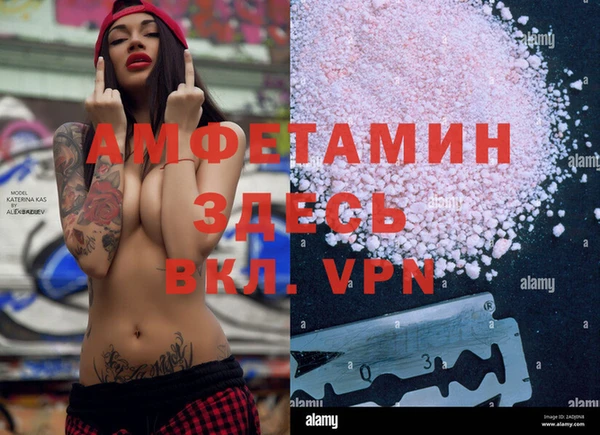 сатива Бугульма