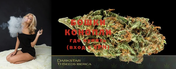 стаф Бронницы